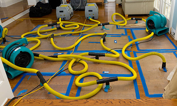 Professional Water Extraction technician working in Dupo, IL